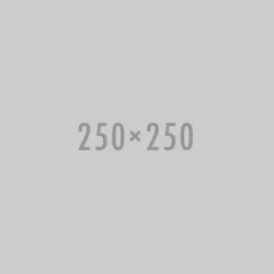 Test bold app